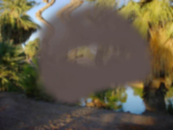 A blurry picture of palms with a grey obstruction in the center